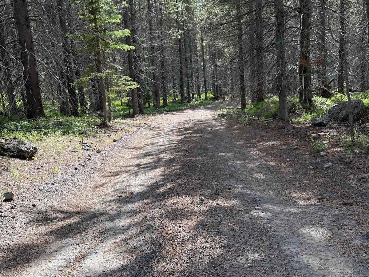 Frog Pond Road photo 3