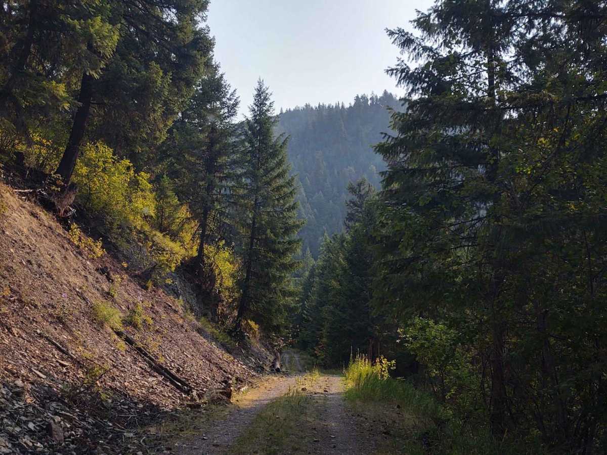 Flatiron Ridge photo 2