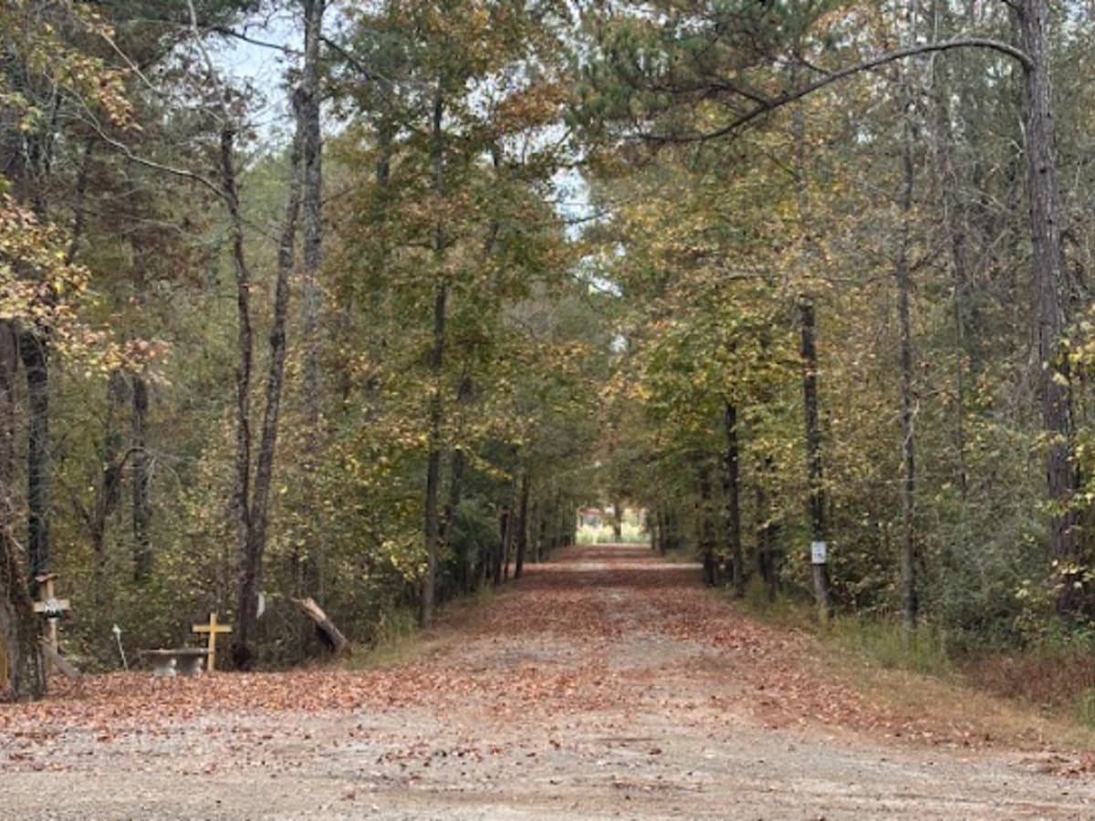 19 trail photo