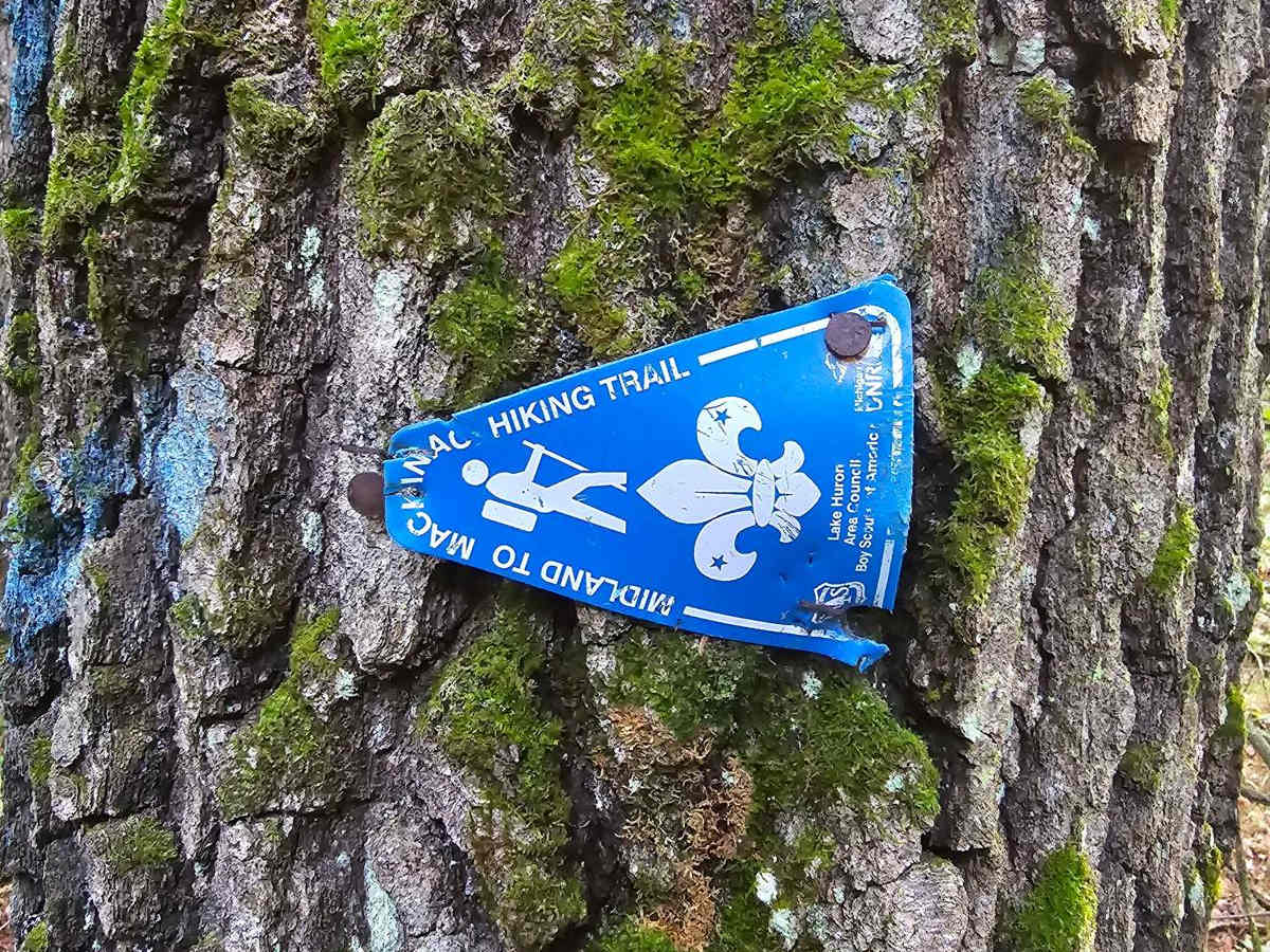 Camp Trail trail photo