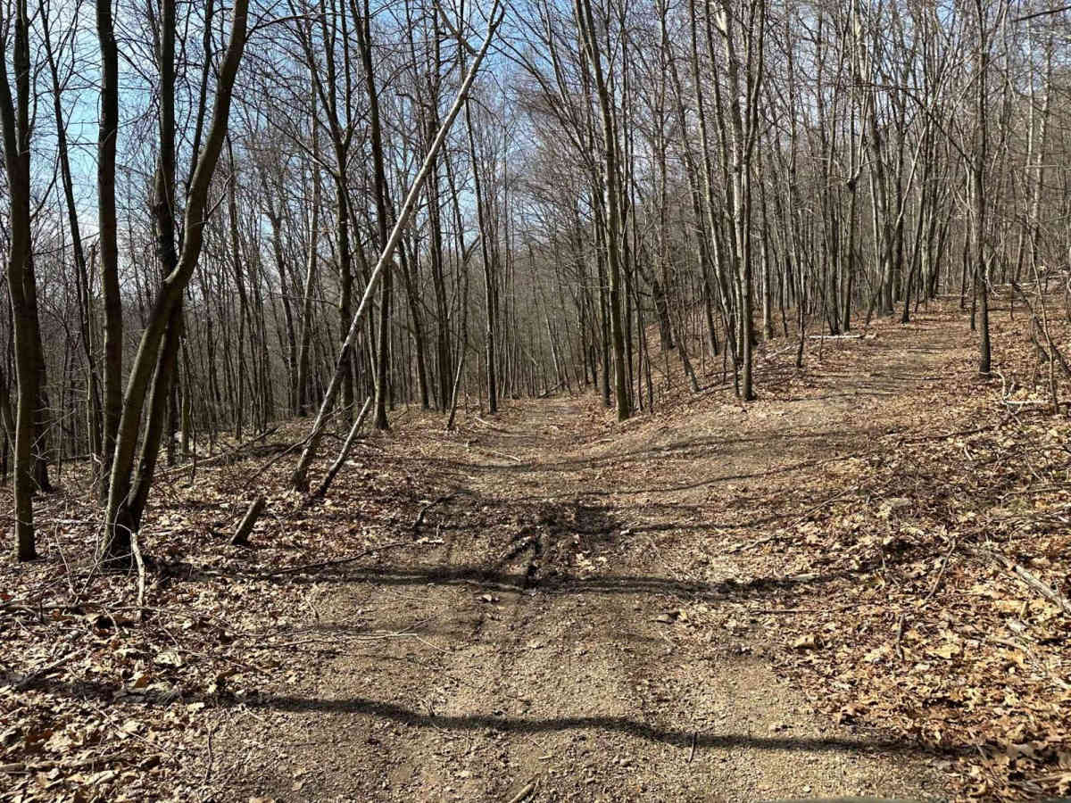Ashland 15 photo 4