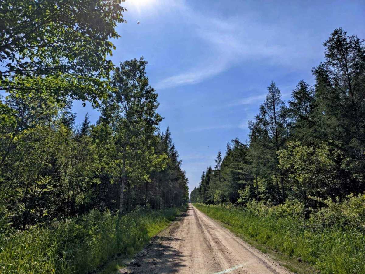 FS 2201 trail photo