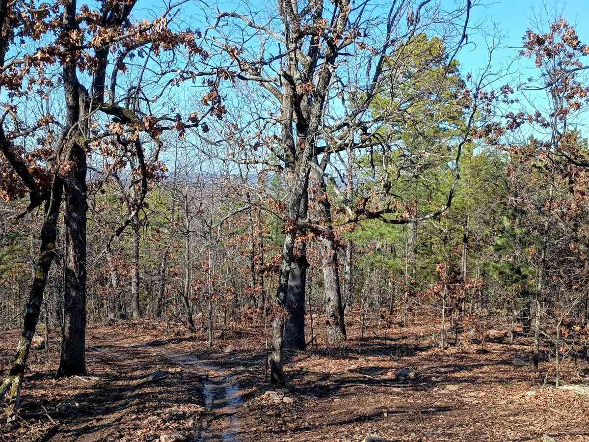 Lookout Access Trail photo 5