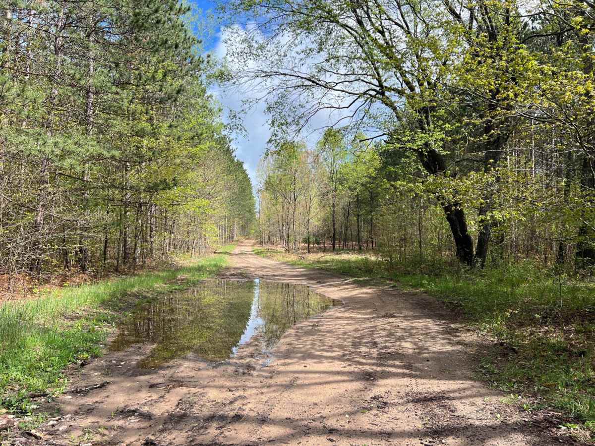 6 Loop Trail photo 6