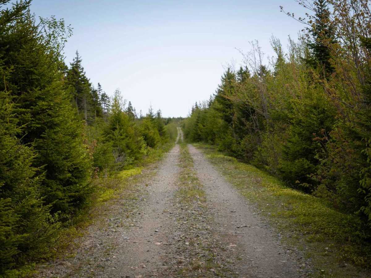 Goose Creek Footpath Access photo 4