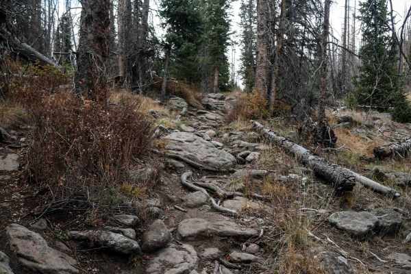 Groundhog Single Track