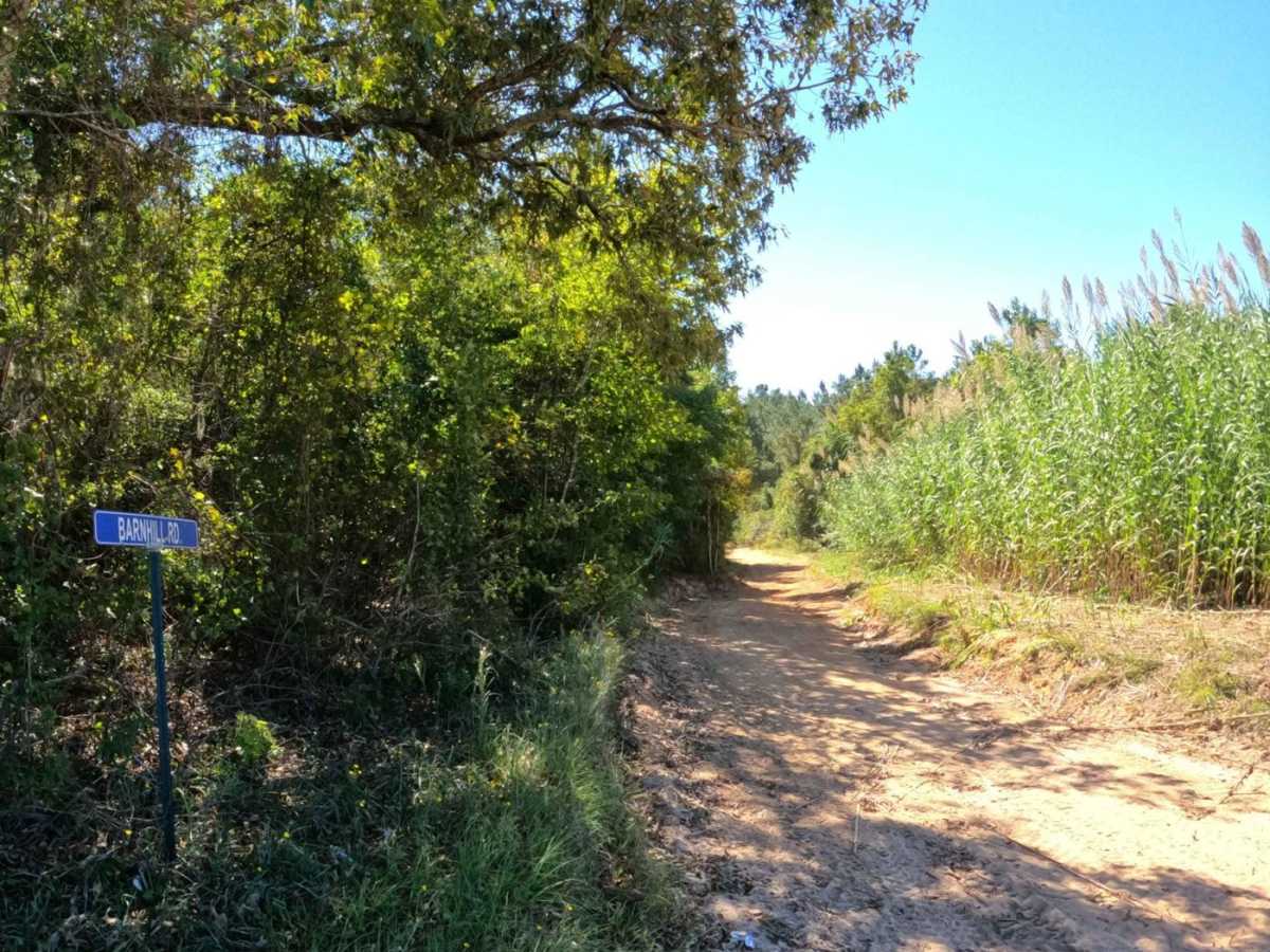 Barnhill Road photo 5
