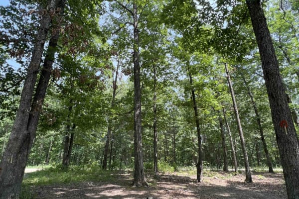 Current River Conservation Area