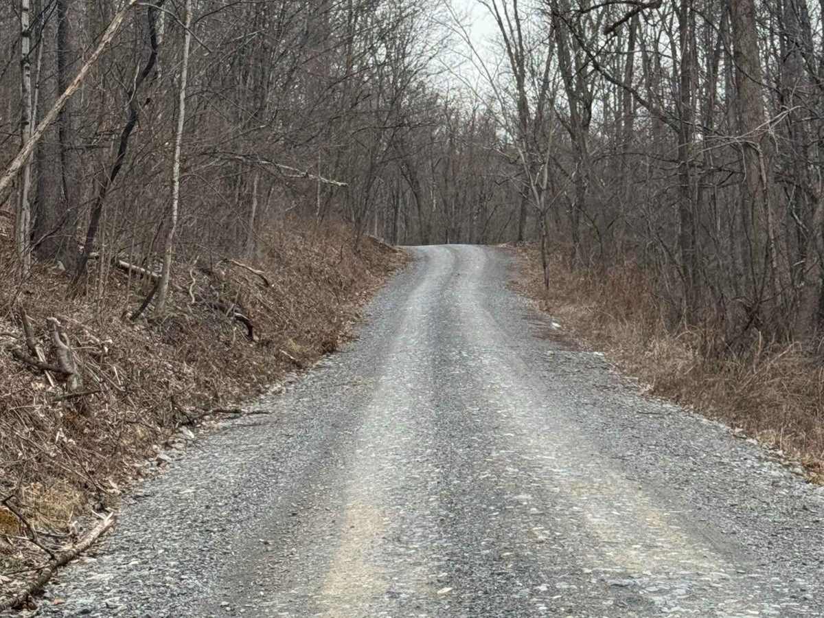 Kato Orviston Road photo 4