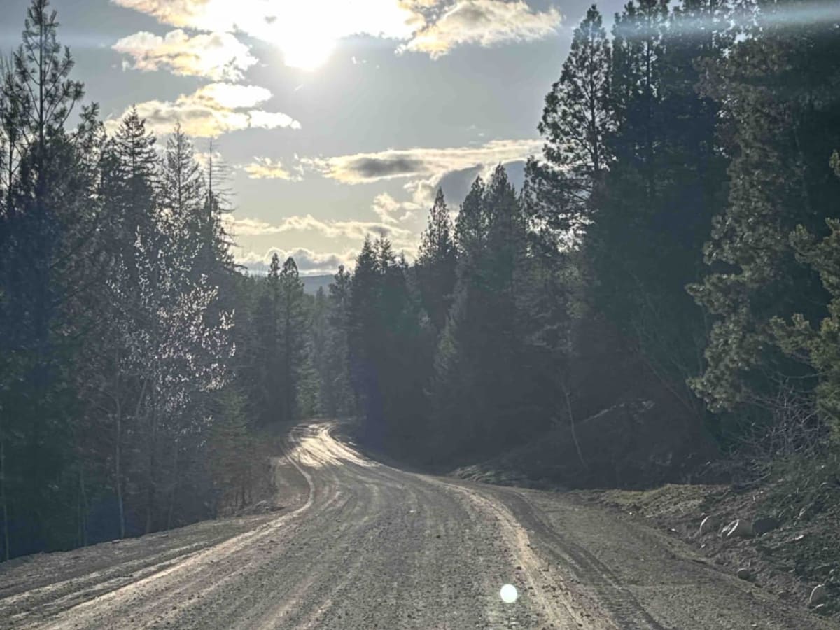 Bear Lake Main FSR photo 2