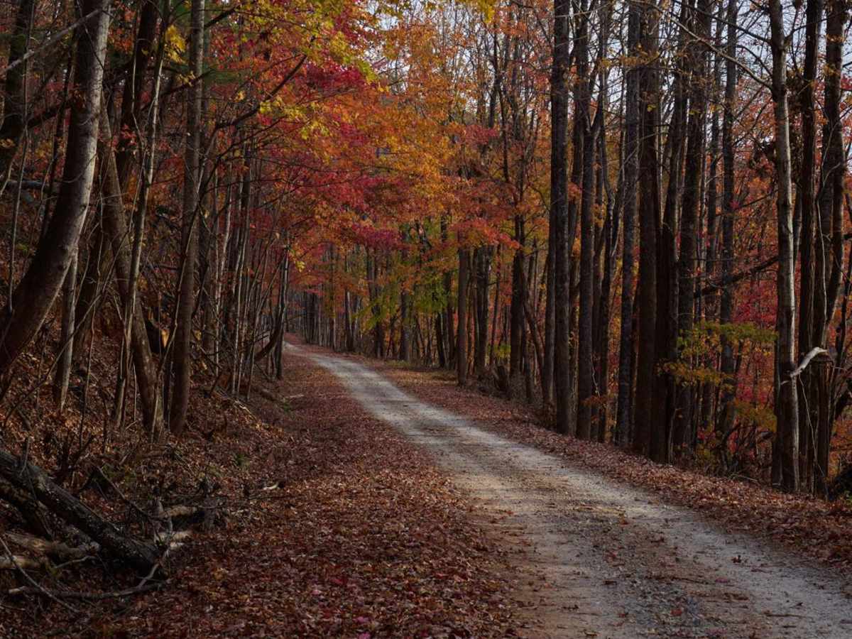 Musterground Road - Part 1 photo 4