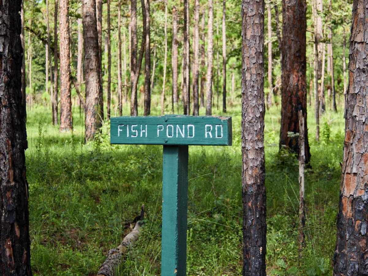 Fish Pond Loop photo 3
