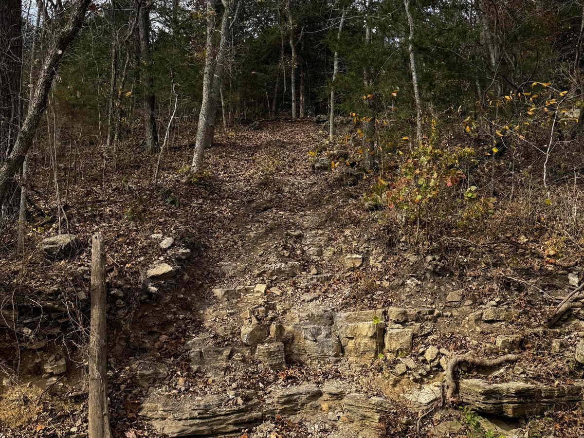 Tim's Hill photo 2