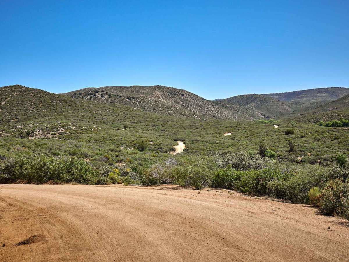 Uncle Sam Road photo 4