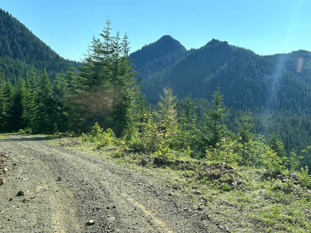 Church Creek Area Trail trail photo
