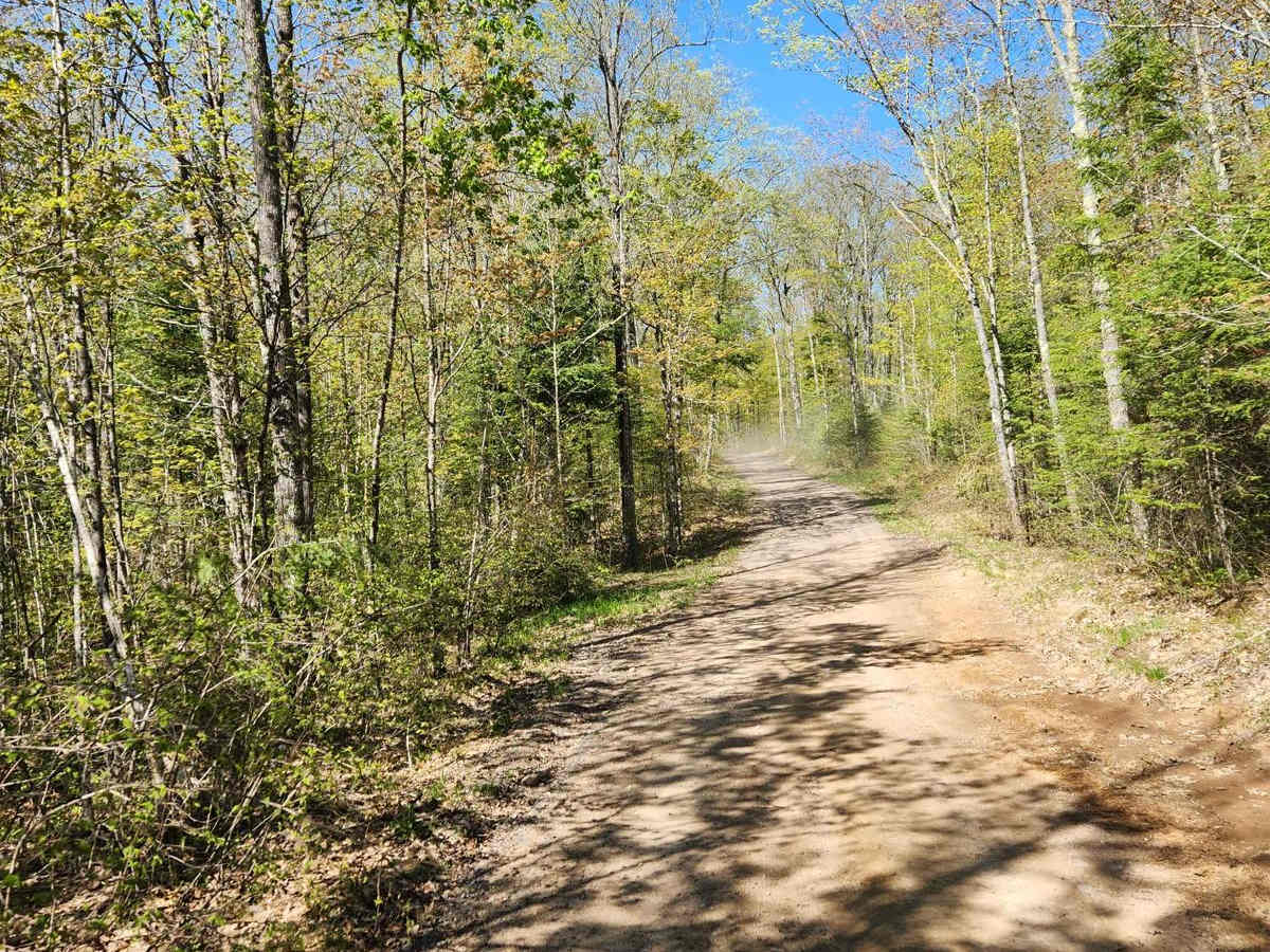Trail 8 trail photo