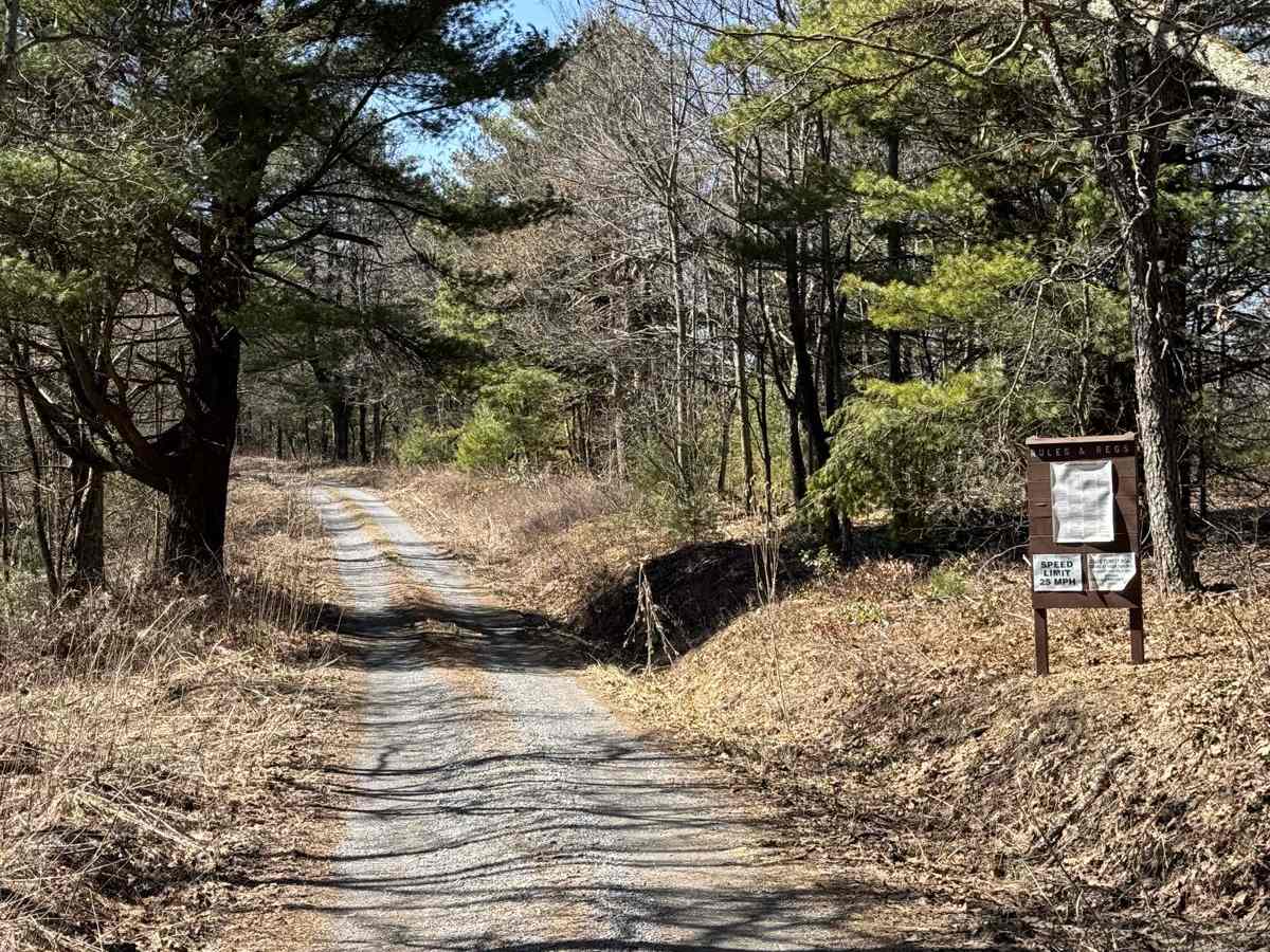 Barney's Ridge Road photo 2