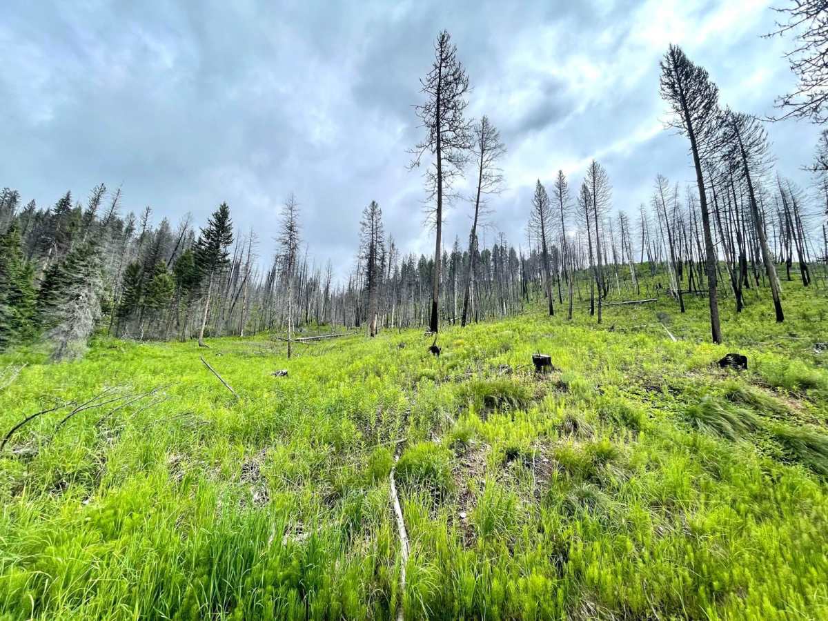 Cottonwood Lakes photo 4