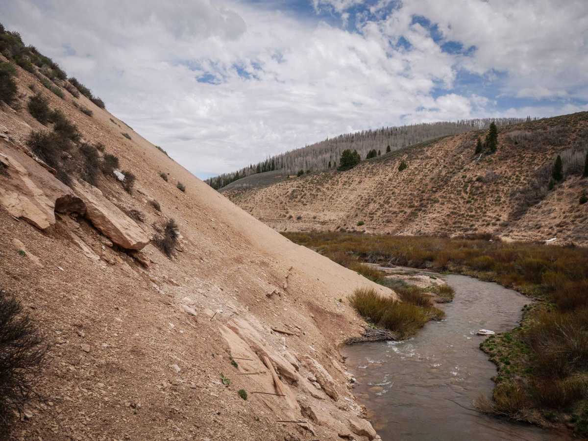 Willow Creek #025 trail photo