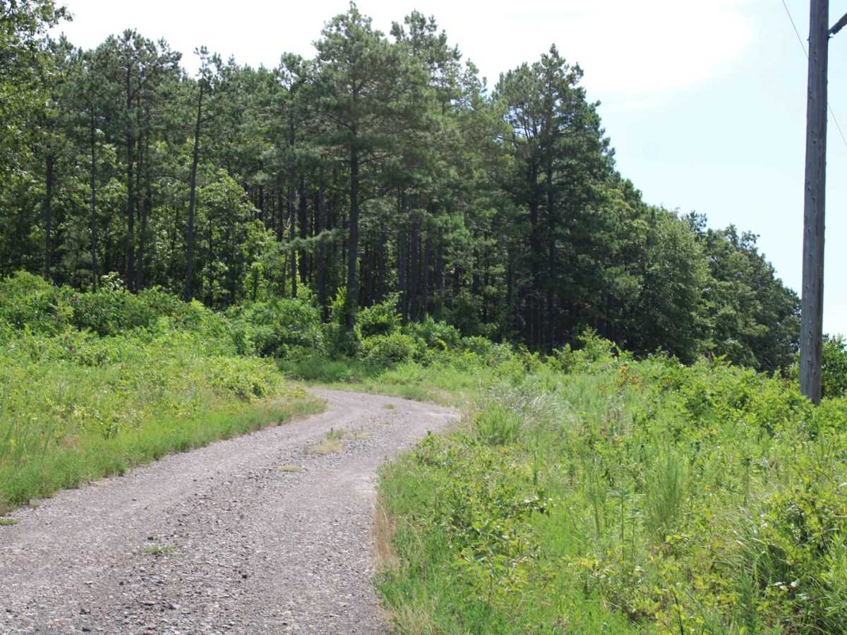 Danville Mountain photo 2