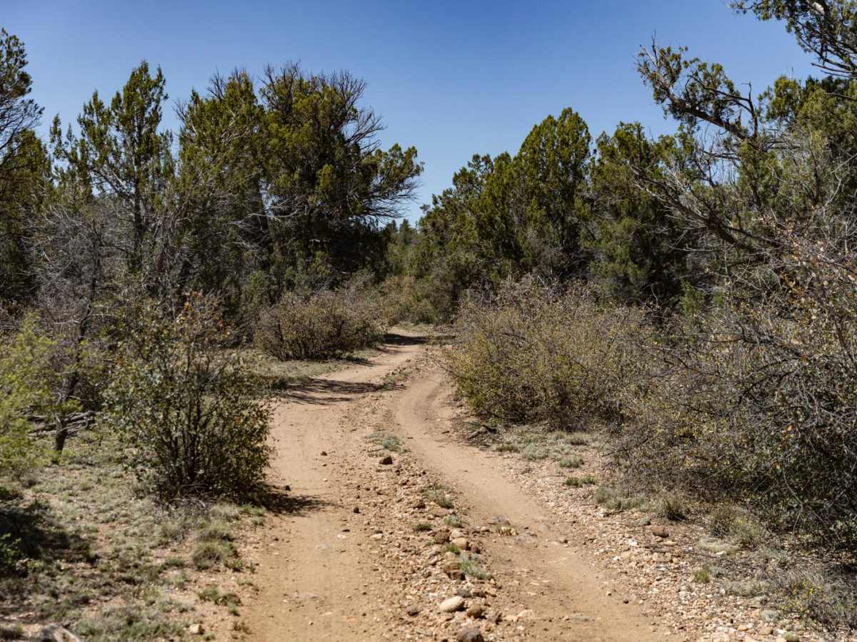 Jordan Well photo 6