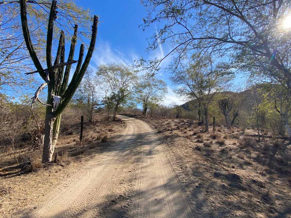 Rancho Pintado Road photo 3