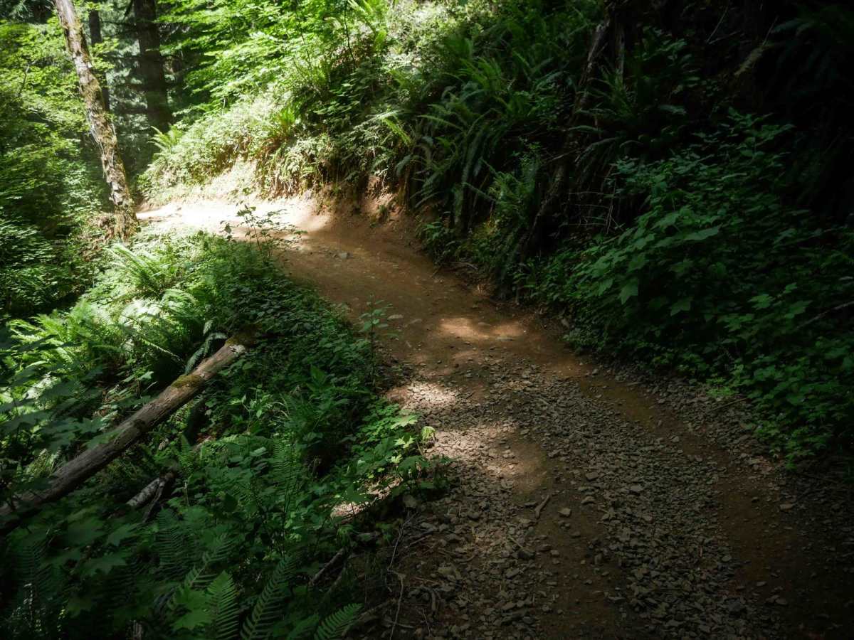 Elliot Creek #25 photo 4