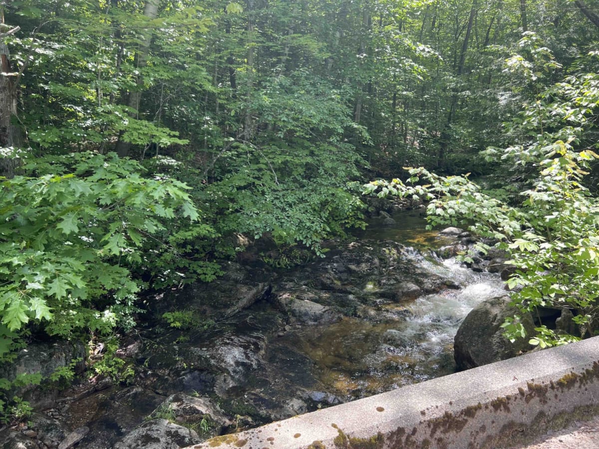 Wild River Road photo 4