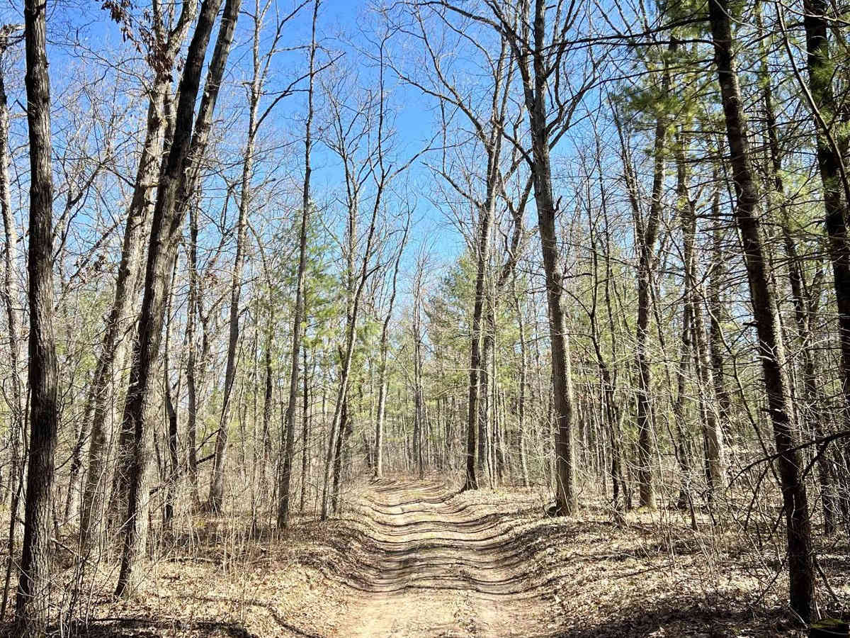 MSG Trail photo 3