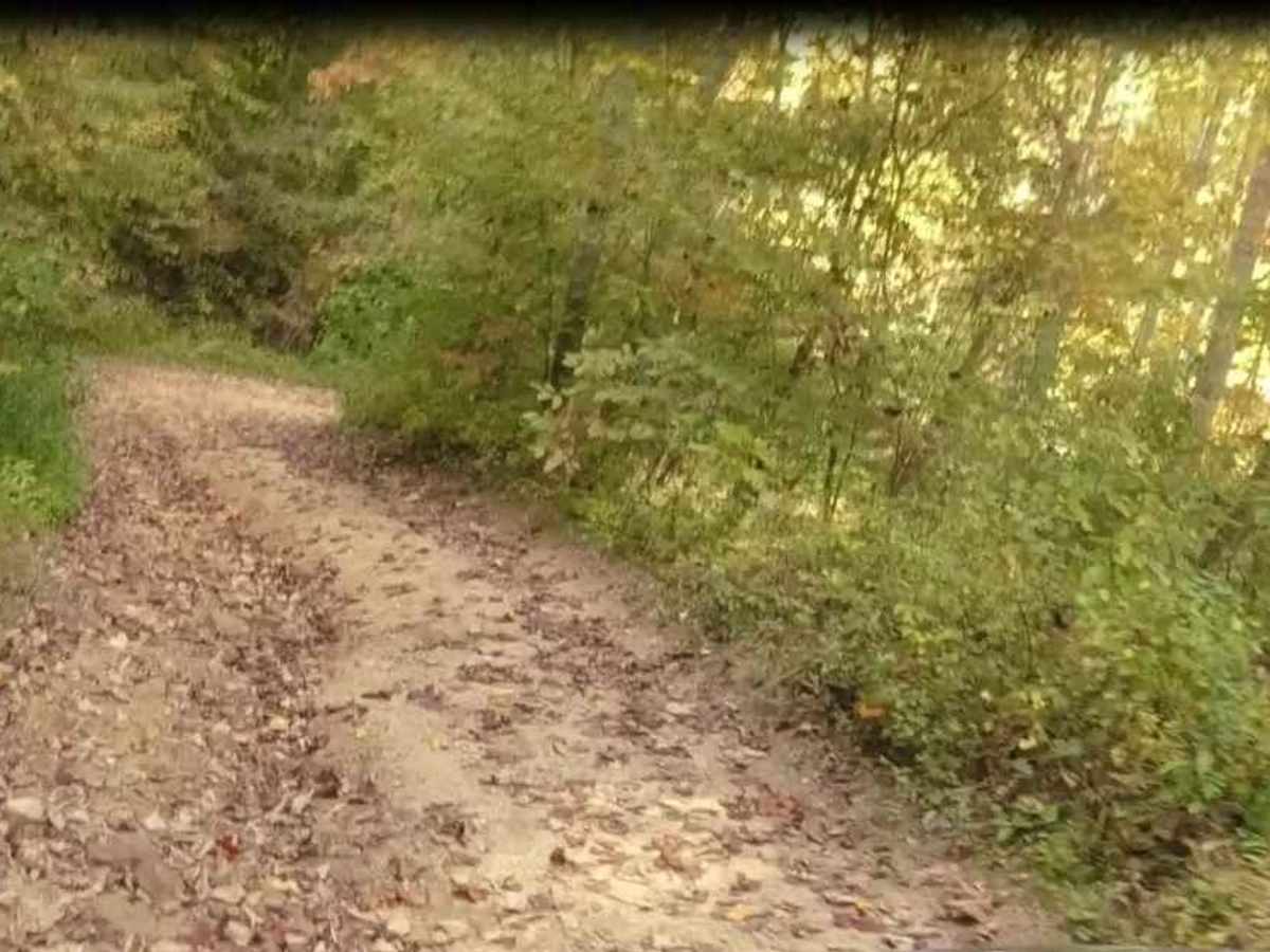 Martiki Trail photo 3