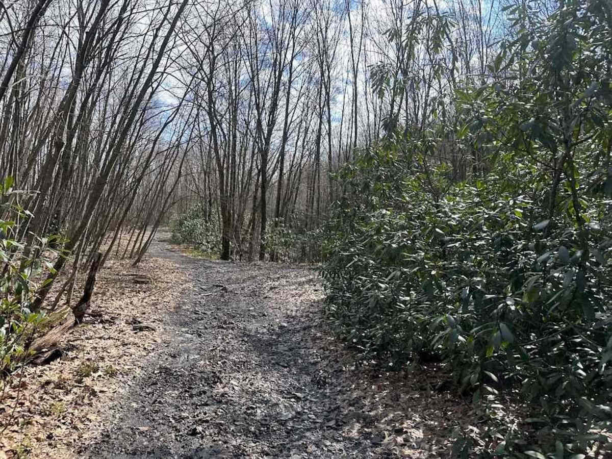 Ashland 119 photo 5