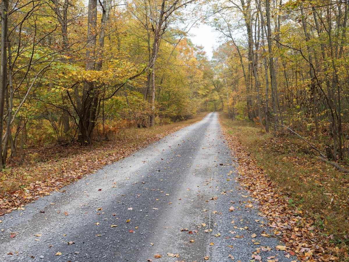 Harry's Valley Road photo 2