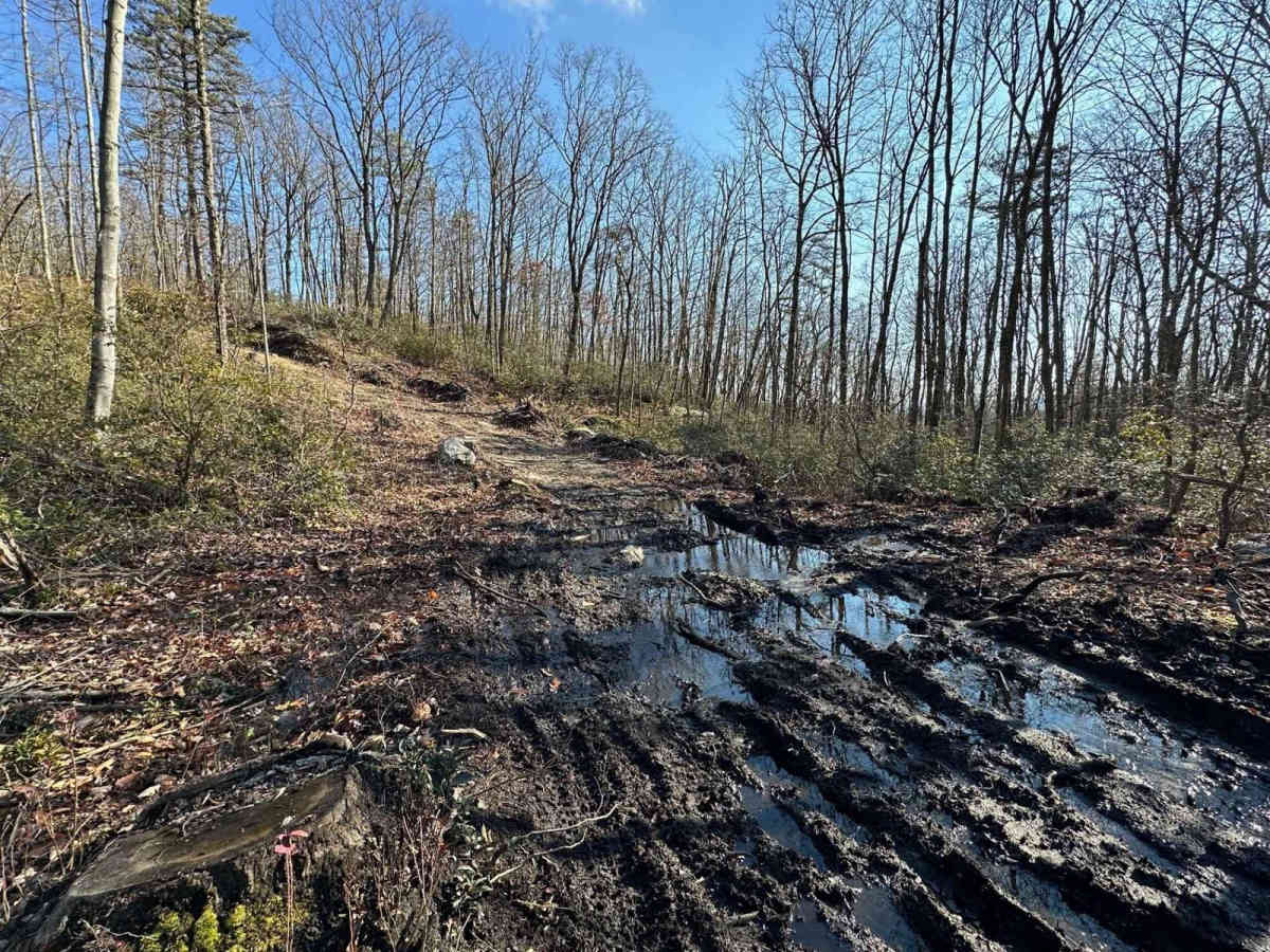 Darkwater 93 trail photo
