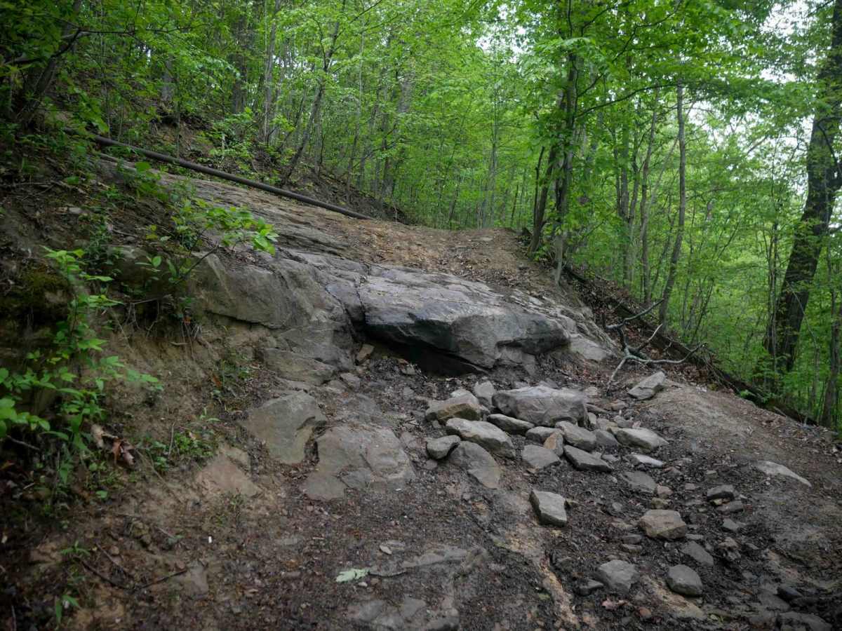 BM 90 trail photo