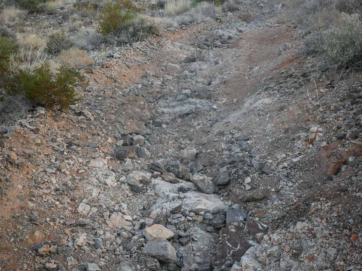 Rock Ridge Single Track trail photo