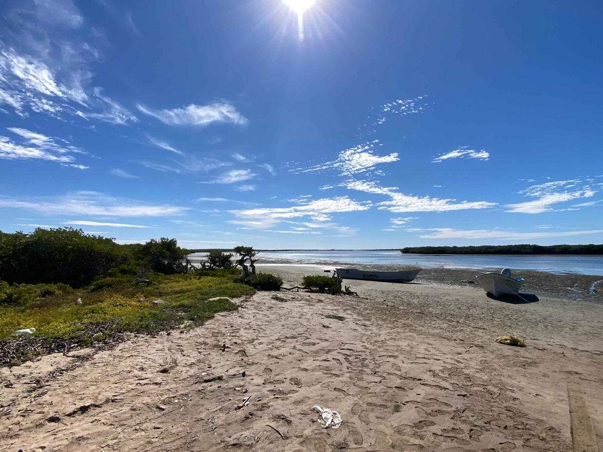 La Cama trail photo