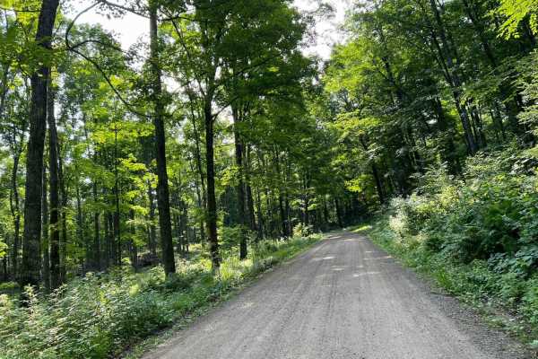 Borske Road - FS 2366