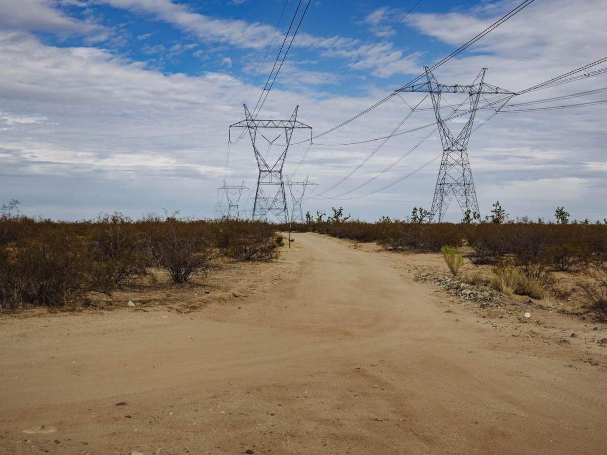 Electric Alien Trees trail photo