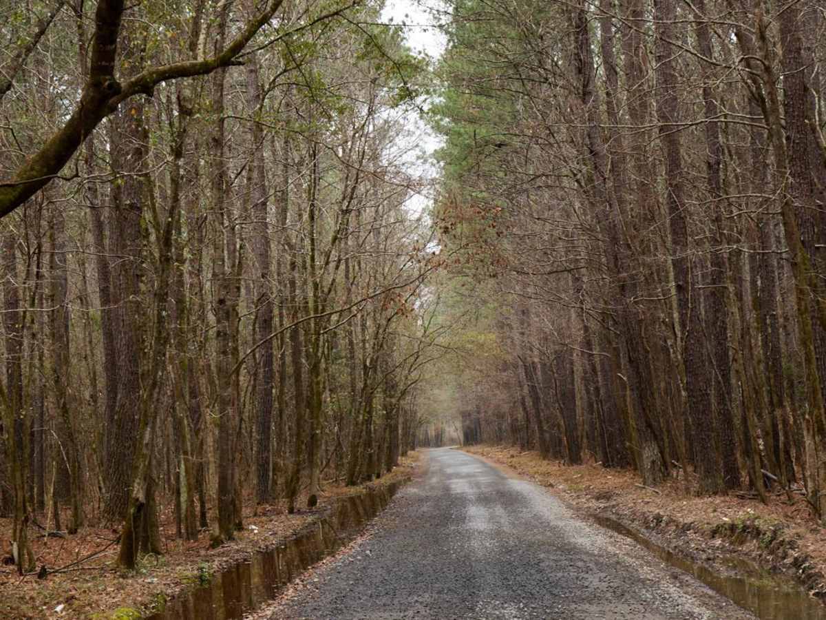 Charity Church Road trail photo