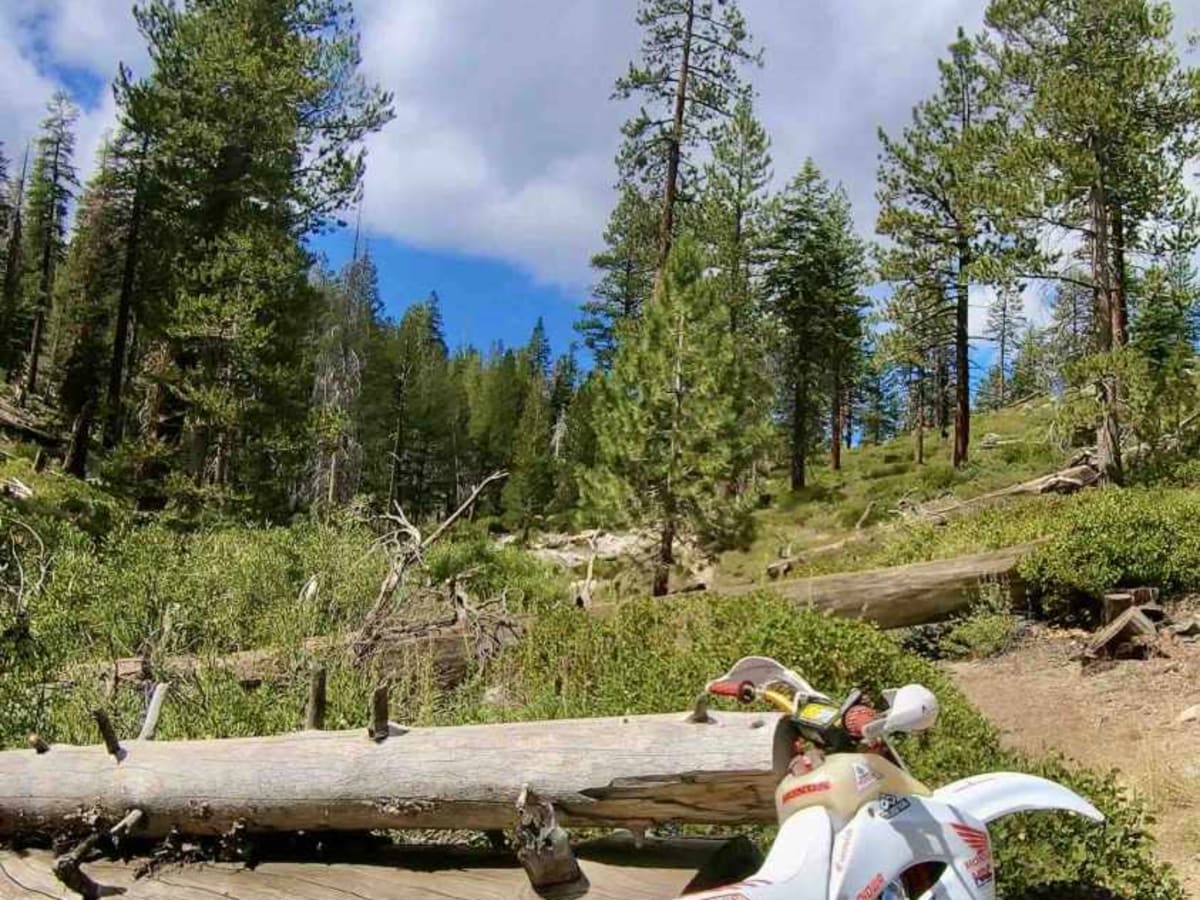 Beach Trail photo 3