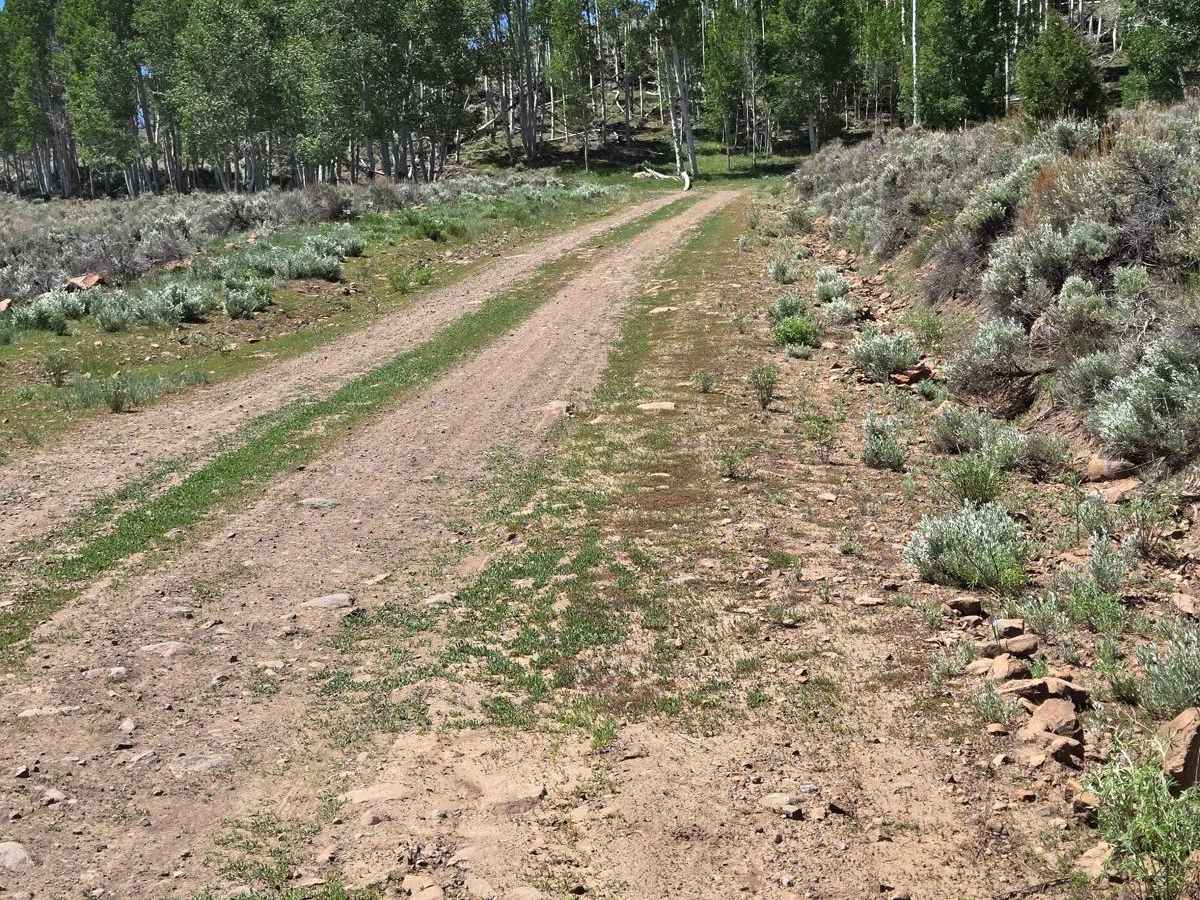 Parker Mountain Trail (PMT) 1 to PMT 15 photo 5