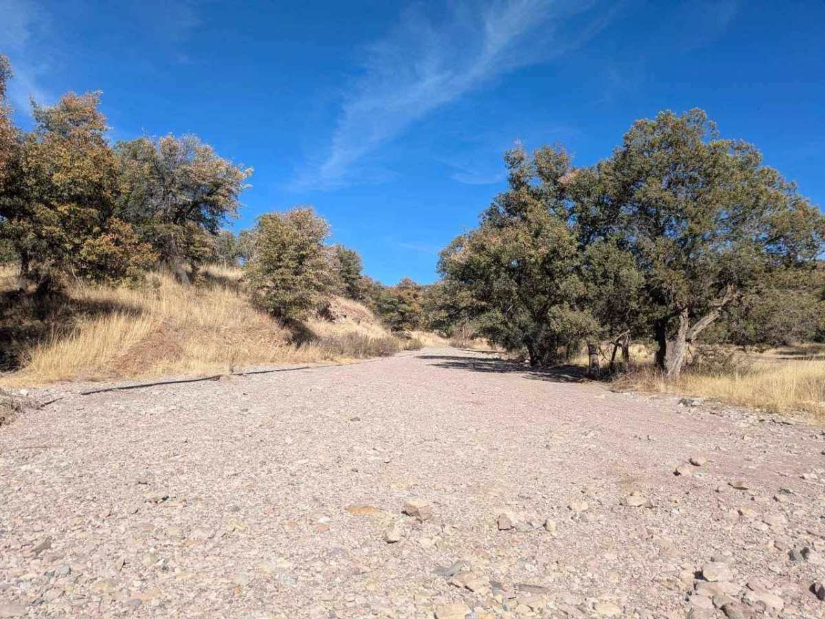Montezuma Pass photo 5