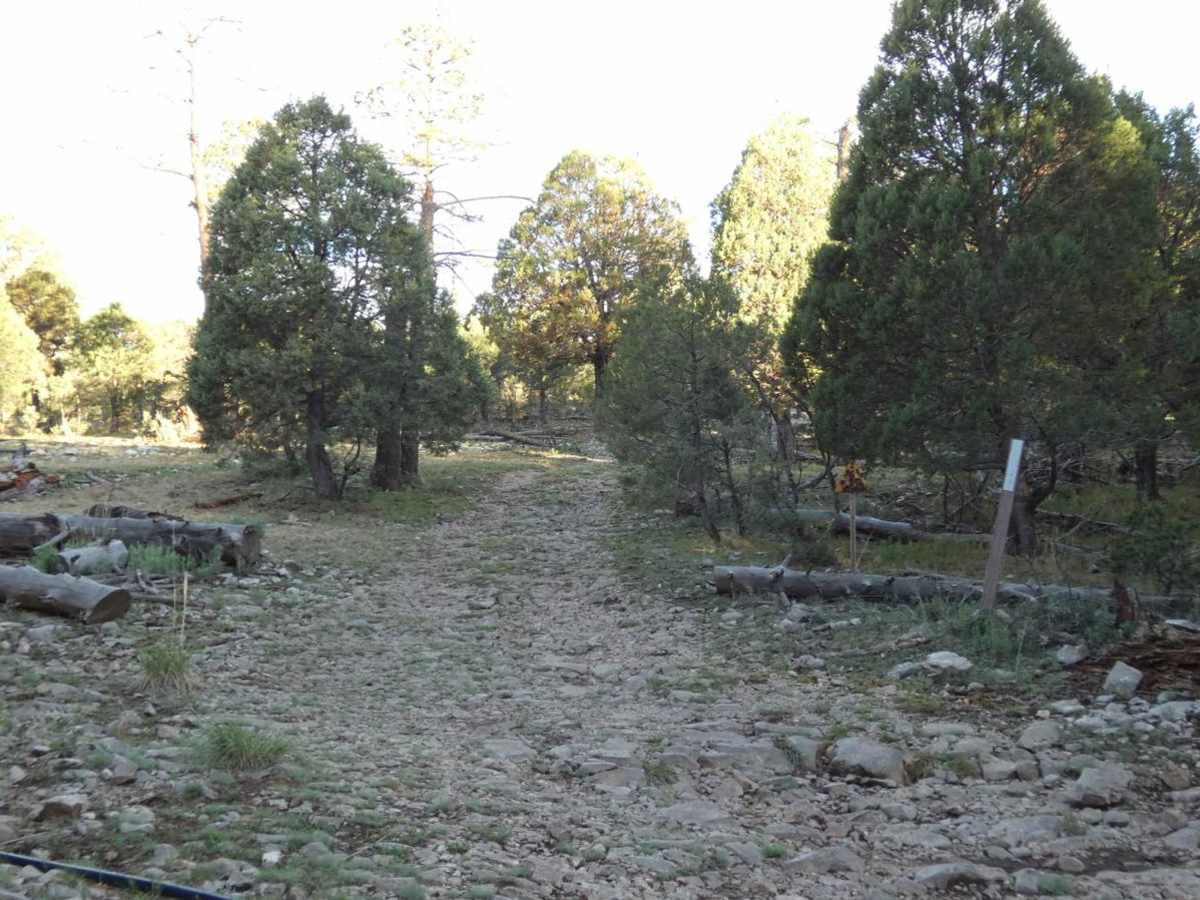 James Ridge trail photo