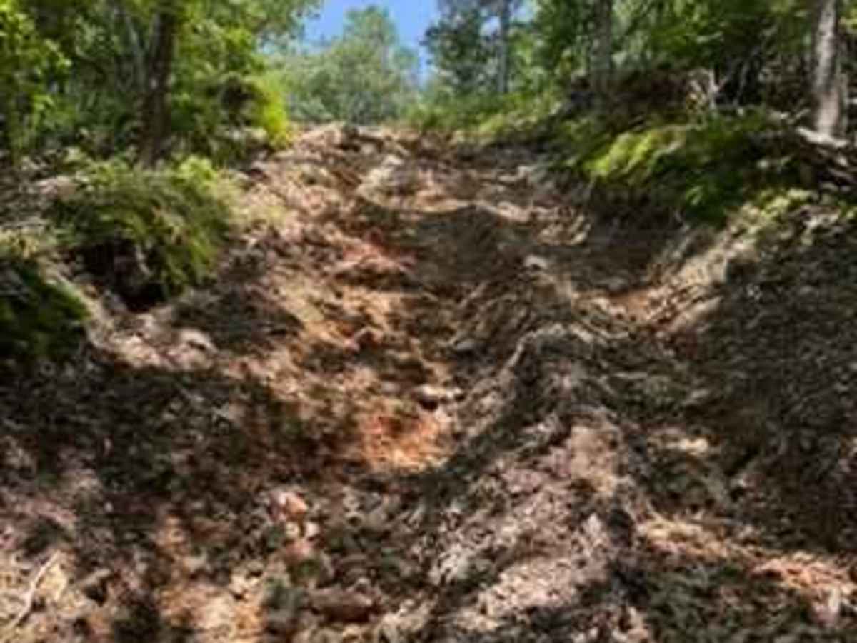 Caitlyn's Trail photo 6
