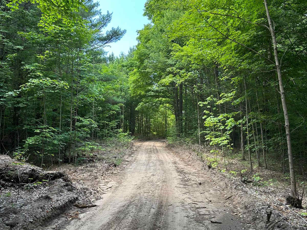 Trail 48460 photo 3