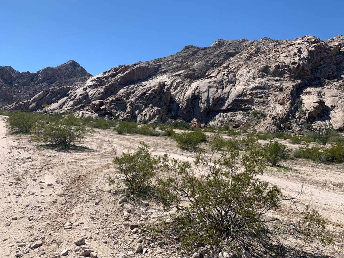 Betty Lee Tank Spur trail photo