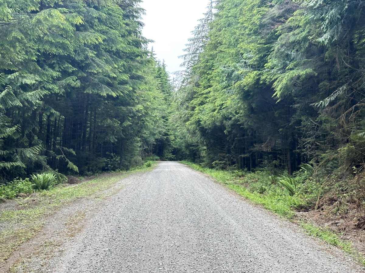 Horse Camp Trail photo 2