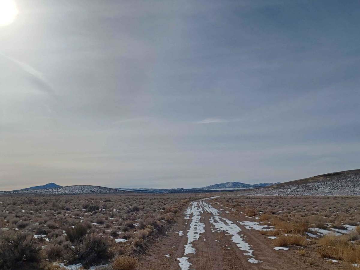 Bird Springs Road photo 4