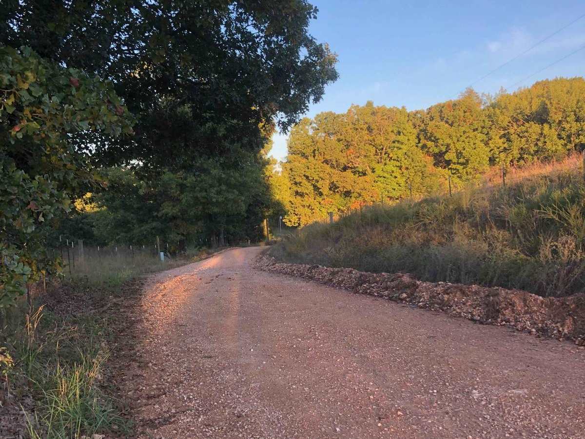 Hayfield Trail trail photo
