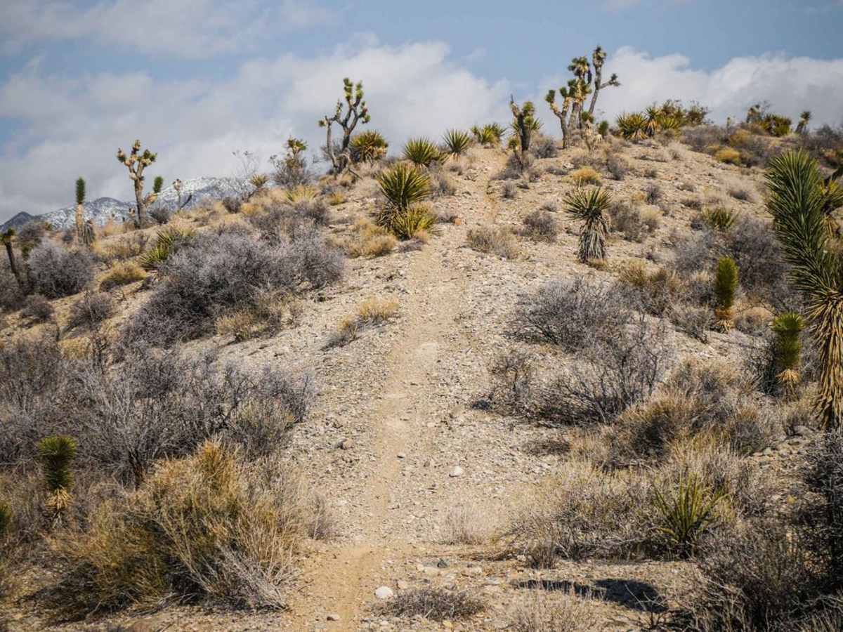 Carpenter Canyon Trail photo 2